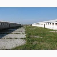 Продаж тваринницького комплексу