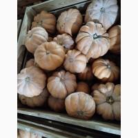 Продам тыкву Ромашку Мускат де Прованс