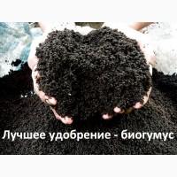 Біогумус, биогумус, вермікомпост оптом
