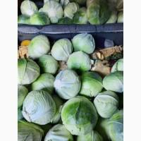 Продам капусту Агрессор