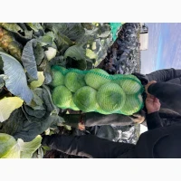 Продам капусту Агрессор