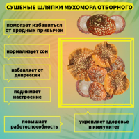 Мухомор Настойка