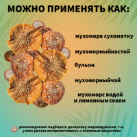 Мухомор Настойка