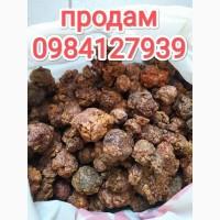 Продам якісний прополіс
