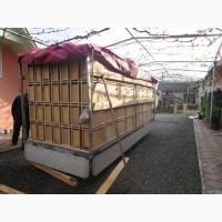 Продам бджолопакети карніка