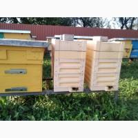Продам бджолопакети карніка
