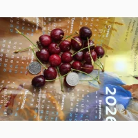 Продам черешні