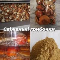 Мухомори мелені опт