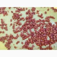 Кісточковибивна машина для вишні, черешні, маслини STvega Cherry Pitting F2000