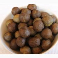 Куплю прополіс