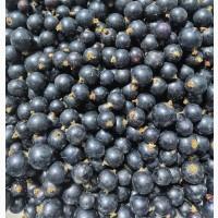 Продам морожену чорну смородину
