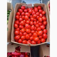 Продам томати