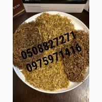 Капитан Блєк, Парламент, Собрание, Мальборо, Золоте Руно