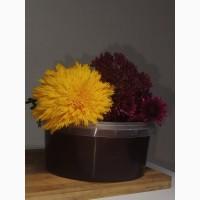 Продам гречаний мед