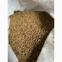 Насіння кормового буряка