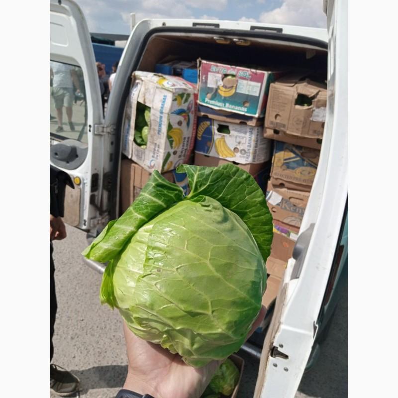 Фото 2. Срочно продам капусту от производителей и постащиков с 5 тонн