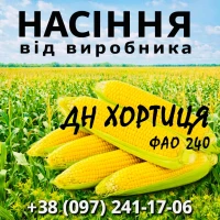 Насіння кукурудзи ДН Хортиця ФАО 240 / від виробника Agro_Exprt