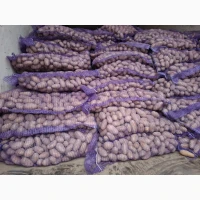 Продам семенной картофель отличного качества сорт Ривьера, Гранада, Невская, Торнадо
