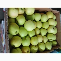 Продам яблуко Гала Роял, Чемпіон, Голден, Лигольд, Семиренко, Амулет, Ліберті