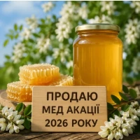Мед акація 2026 року