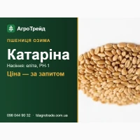 Пшениця озима Катаріна: сертифіковане насіння (Viterra)