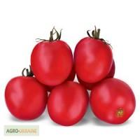 Семена томата ASWAN F1 / АСВОН F1 фирмы Китано