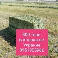 Продам луговое сено. Сено люцерны в тюках. Доставка включена в стоимость