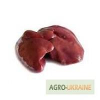 Печень индюшиная ( Италия) с доставкой