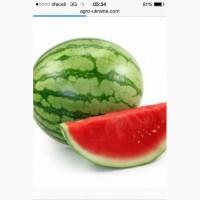 Продам кавун недорого Львів