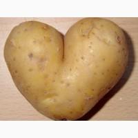 Картофелекопалка 1-но рядн. вибро, фирменная BOMET, купити картоплекопачку