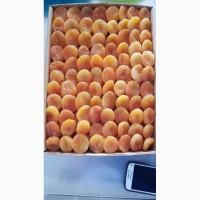 Продам турецкую курагу
