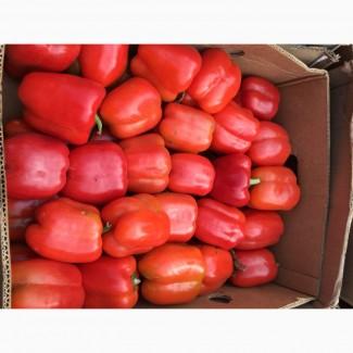 Продам Перець