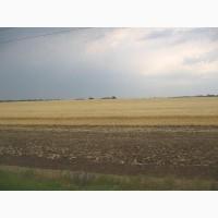 Викуплю ваші препарати Гербіциди Фунгіциди