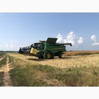 Збирання зернових, аренда комбайна