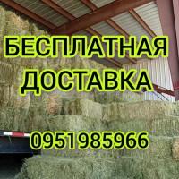 В наличии 300 тонн сена люцерны. Бесплатная доставка