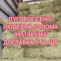 В наличии 300 тонн сена люцерны. Доставка по Украине