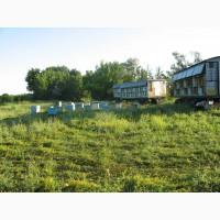 Причип павильон для бджил