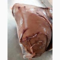 Продам печінку яловичу Україна