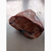Продам печінку яловичу Україна