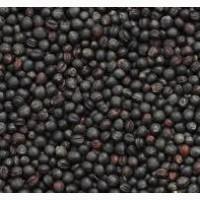 Куплю ріпак дорого