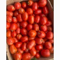 Продам помідори, Вінницька область, Немирівський район