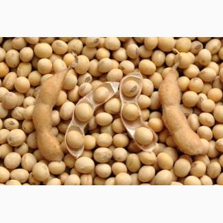 Купуємо сою. Самовивіз або ваша доставка