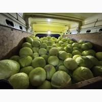 Продам капусту Агресор