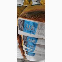 Виробник! Реалізуємо насіння соняшника під Гранстар, Евролайтінг, Класичний