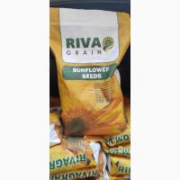 Виробник! Реалізуємо насіння соняшника під Гранстар, Евролайтінг, Класичний