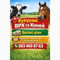Куплю врх
