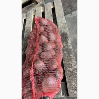 Продам буряк