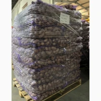 Продам картоплю