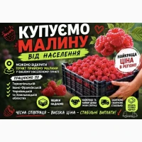 Купимо малину сезон 2026