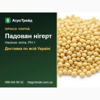 Насіння чорного проса Падован нігерт: еліта, РН-1, доставка по Україні